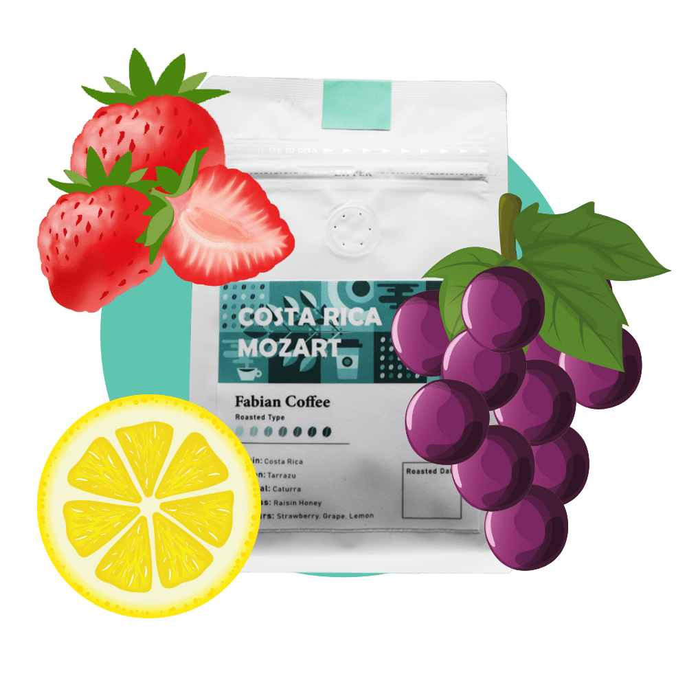 Costa Rica Mozart